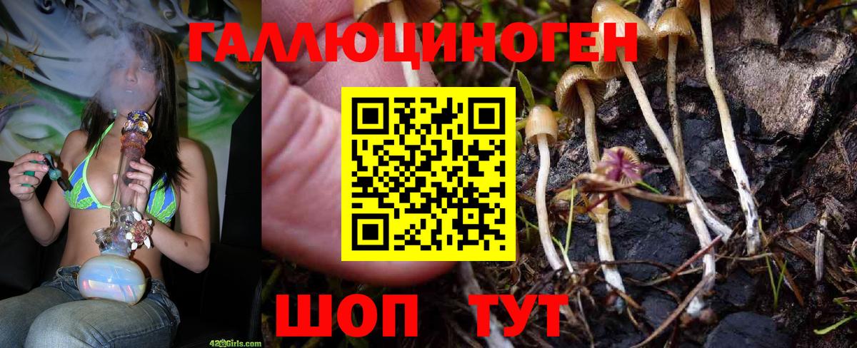 Галлюциногенные грибы прущие грибы Каменск-Уральский